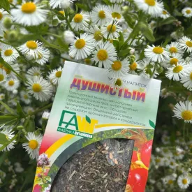 Напиток чайный Душистый